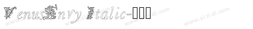 VenusEnvy Italic字体转换